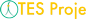 SEO Ajansı